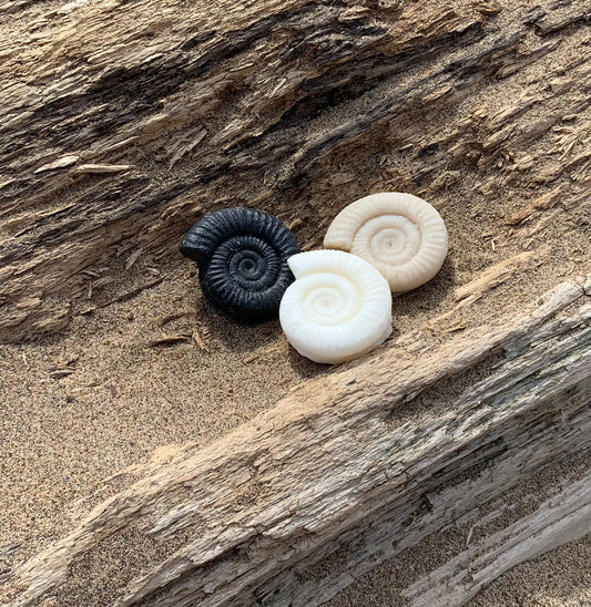 Individual Ammonite Soap - Mount House Whitby