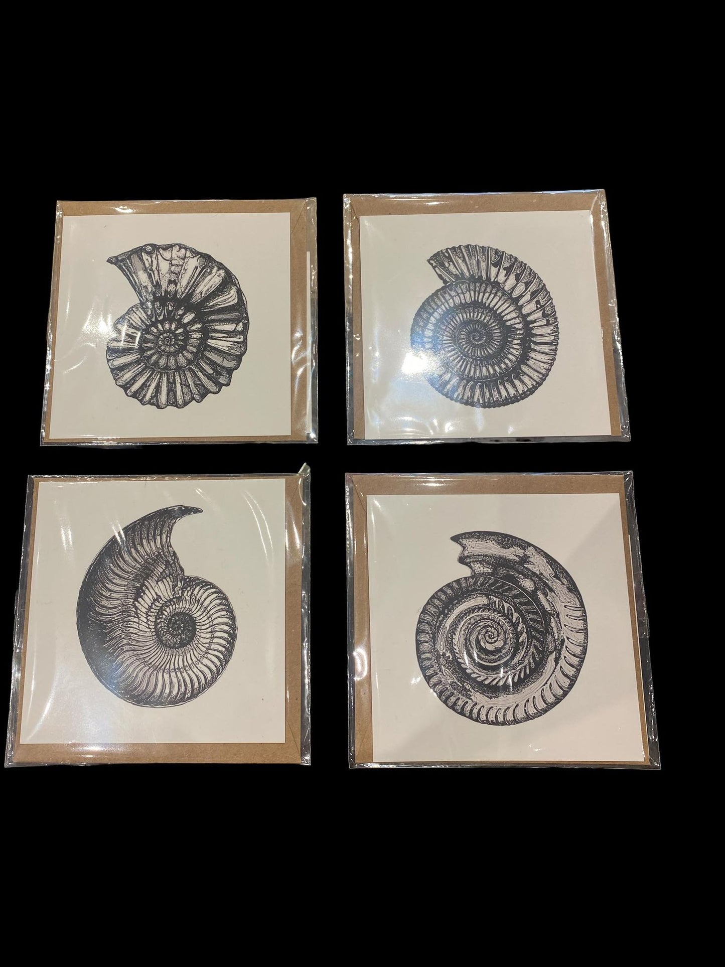 Ammonite Gift Cards
